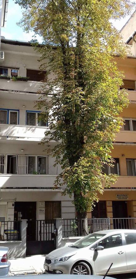 Studio Karma Budapesta Exterior foto